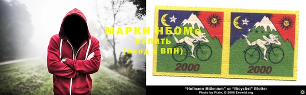 хмурый Корсаков