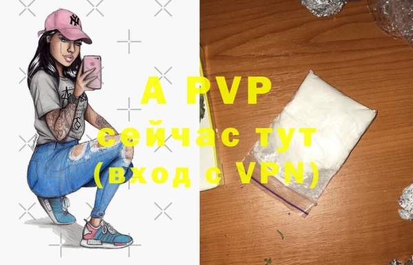 хмурый Корсаков
