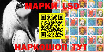 индика Обнинск