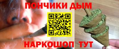 индика Обнинск