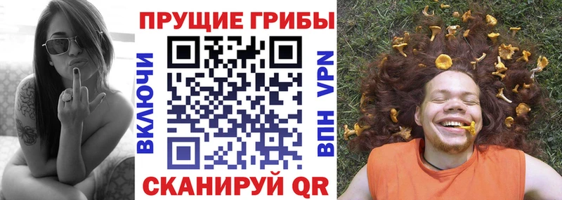 Галлюциногенные грибы Cubensis Оренбург