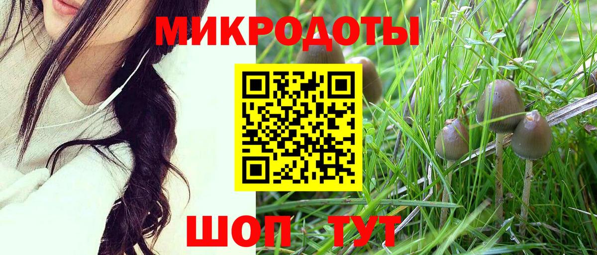 Псилоцибиновые грибы мицелий Оренбург