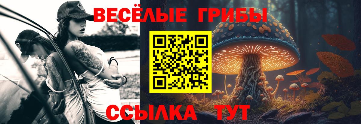 Оренбург  как найти закладки  Вход с VPN  Галлюциногенные грибы Psilocybe 